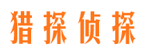 岭东市调查公司